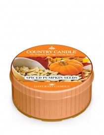 Spiced Pumpkin Seeds DayLight Country Candle